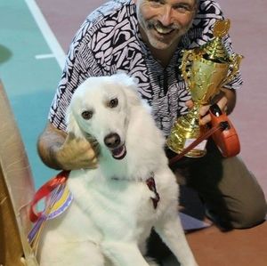 Meet your Posher, Tom